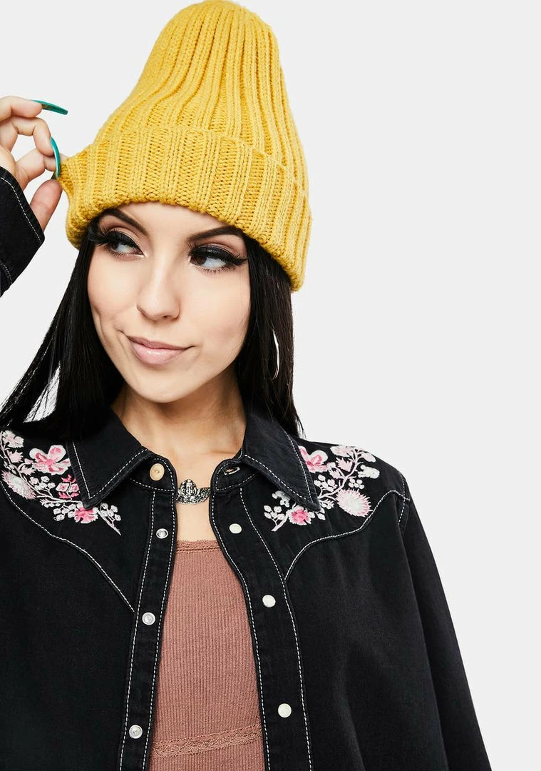 Best Sale π₯° BDG Grace Western Embroidered π Shirt π 2 BDG Grace Western Embroidered Shirt